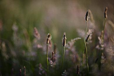 类银河恶魔城游戏《公理边缘2》 现已在Steam发售